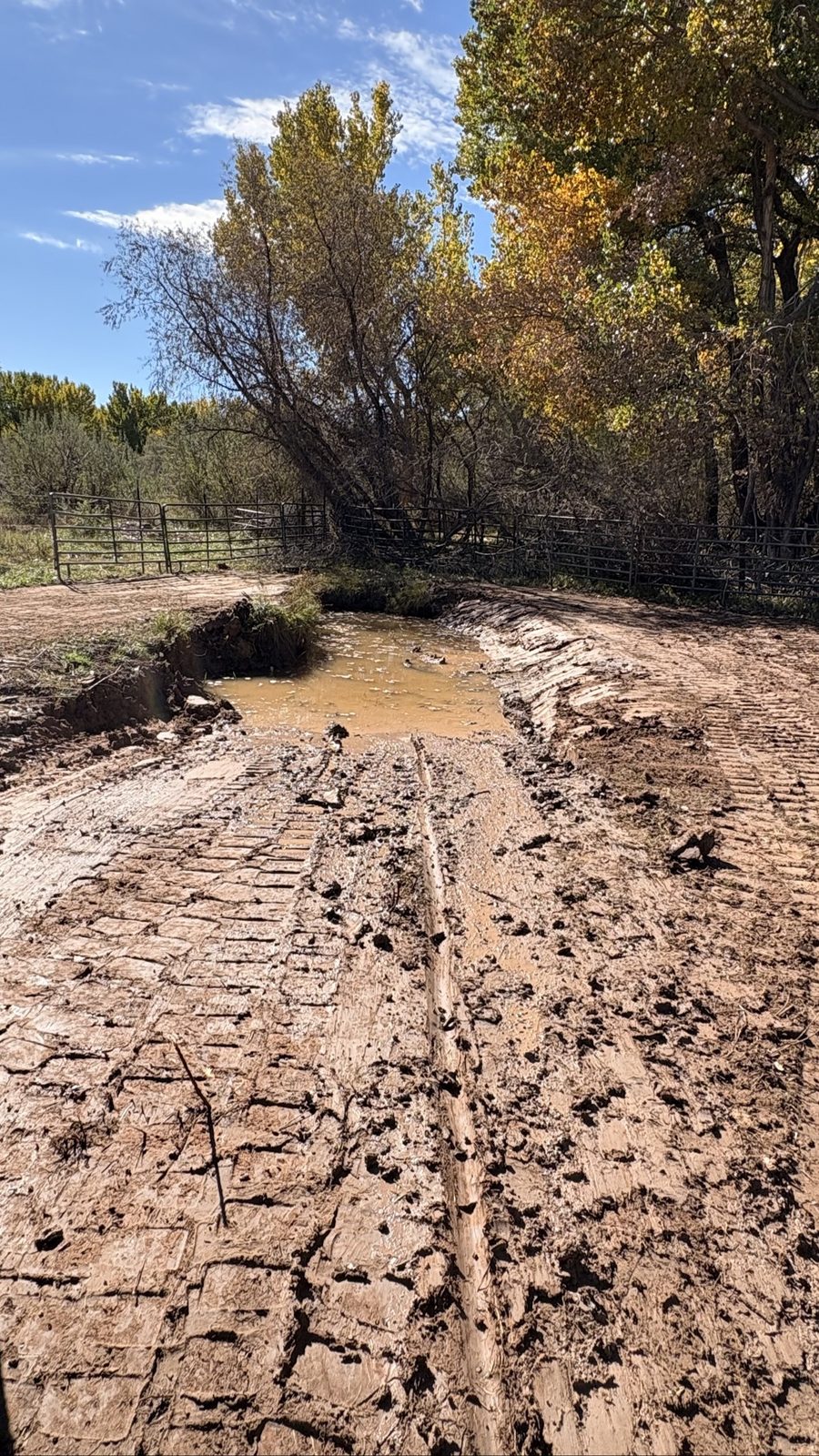 Wider view of the finished ditch crossing at the ranch gate after BK Hauling & Clearing grading — fresh track marks on the graded ramp down to the water