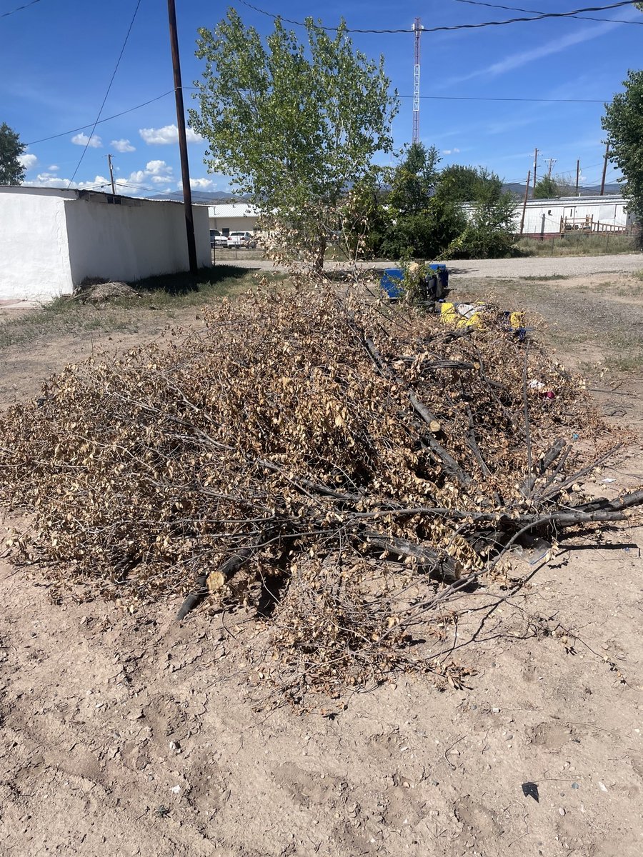 Large brush and debris pile cut and stacked in a yard, ready for BK Hauling & Clearing to haul off